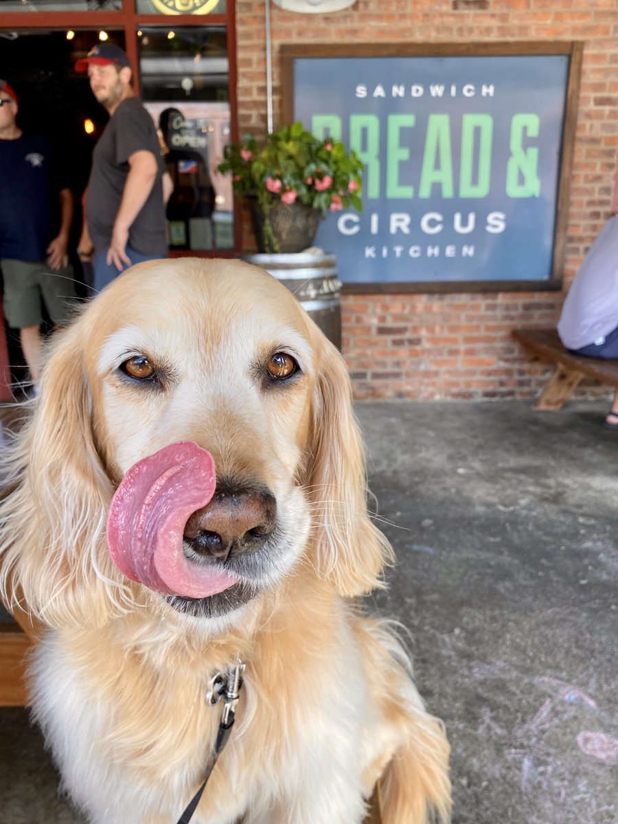 605Hanson's tweet image. #breadandcircus #dtsf #bestfrenchfries