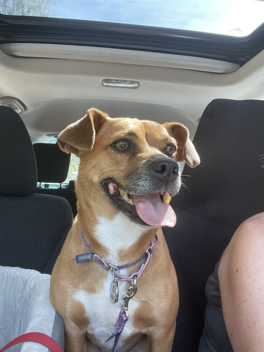 chuggard tweet media