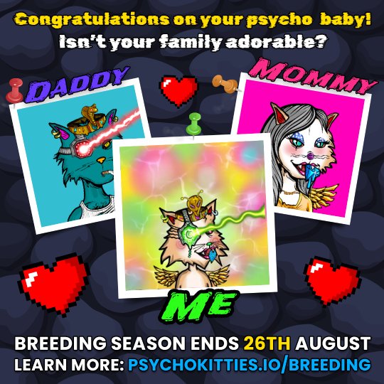 _ConceptCrypto's tweet image. My @psychokittiesOG and PsychoMolly did it like they do on the Discovery Channel and got freaky in my wallet 😏 Now I have a PSYCHO BABY 😺 #PsychoKittyBaby