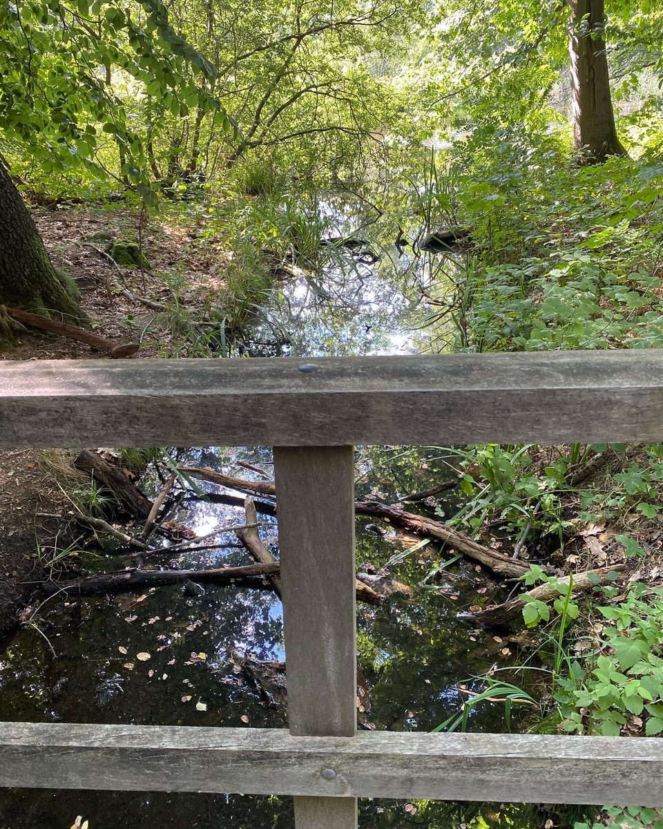 Hannashome_40's tweet photo. langs #vijverberg #warnsborn en #grootwarnsborn waar #annefrank heeft gelogeerd 2/2 https://t.co/N9O4A1yCUq