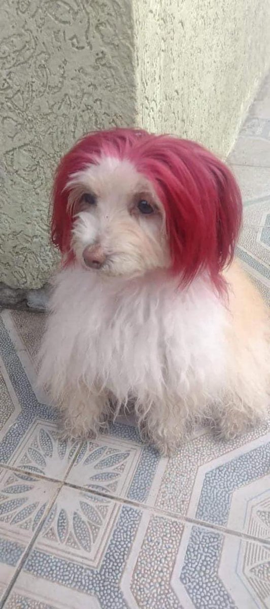why go to therapy when u can dye ur hair instead