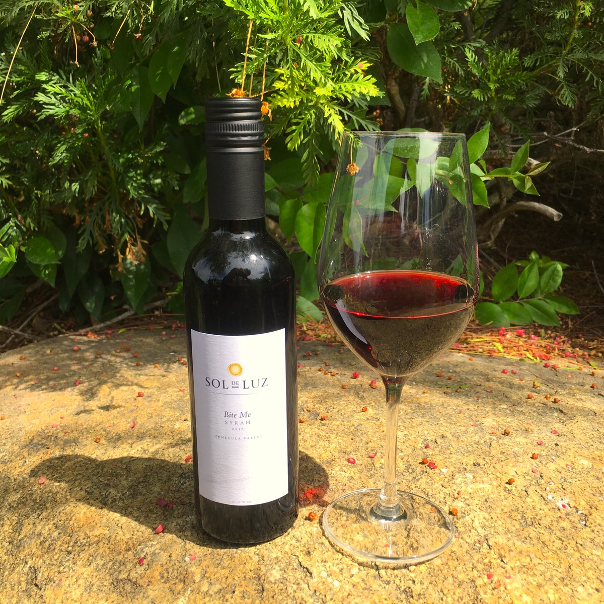 RedneckVine's tweet photo. 🥁DRUM ROLL... Presenting our most exquisite &amp; bewitching wine yet... 

Sol De Luz "BITE ME" Syrah!!🍷 

Aromas of dark red fruit &amp; new French oak add a level of sophistication to this Syrah.  If you don't like it, you can BITE ME! Grab a bottle now!👉 https://t.co/RvzdbL7FMq https://t.co/3Q9XGyC16t