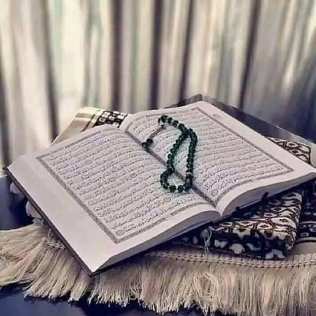 আল্লাহ তওবাকারীদের কে ভালবাসেন
এবং যারা পবিত্র থাকে তাদেরও ভালবাসেন।

__আল-কুরআন