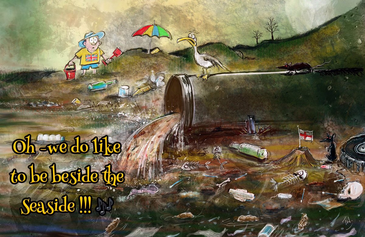 sue_burleigh's tweet photo. Todays cartoon #SewageScandal #Sewage #SewageParty #ticklywitch cartoons #britishbeaches https://t.co/qCzYMtn6SV