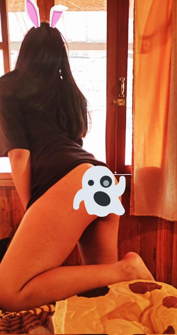 Quien que me acompa&ntilde;a? 🐇🍑 ⬇️ ⬇️ ⬇️ 🙈 https://t.co/VN880Nrsz3 https://t.co/Bbl5R5bdnt<a href="/tag/panam%C3%A1"class="tags"><span>#panam&aacute;</span></a>