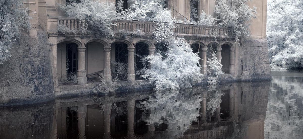 AcademiaAesthe1's tweet photo. Château de la Mothe-Chandeniers https://t.co/rZJZmdR19V