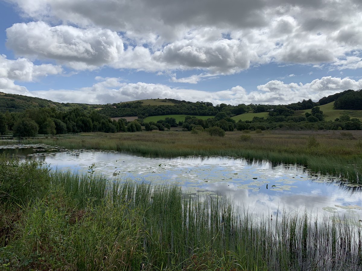 lucylocketxox's tweet photo. It’s all about the Bog @welshraisedbog 12.05hrs 19/8/22 https://t.co/WnikuJGHv7