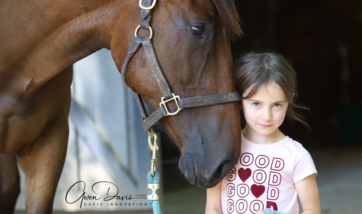 SecondStride's tweet photo. Part of our #broodmarebloodstock program, Chester ('21 Idonowidont) is really growing up and light training has begun. LOVES kids, easy-going and quite mature. Plus no problems hanging around a trampoline. ๐ #SecondStride helping TBs of ALL ages. https://t.co/6StZIH9Yox https://t.co/KvDVmTZE06