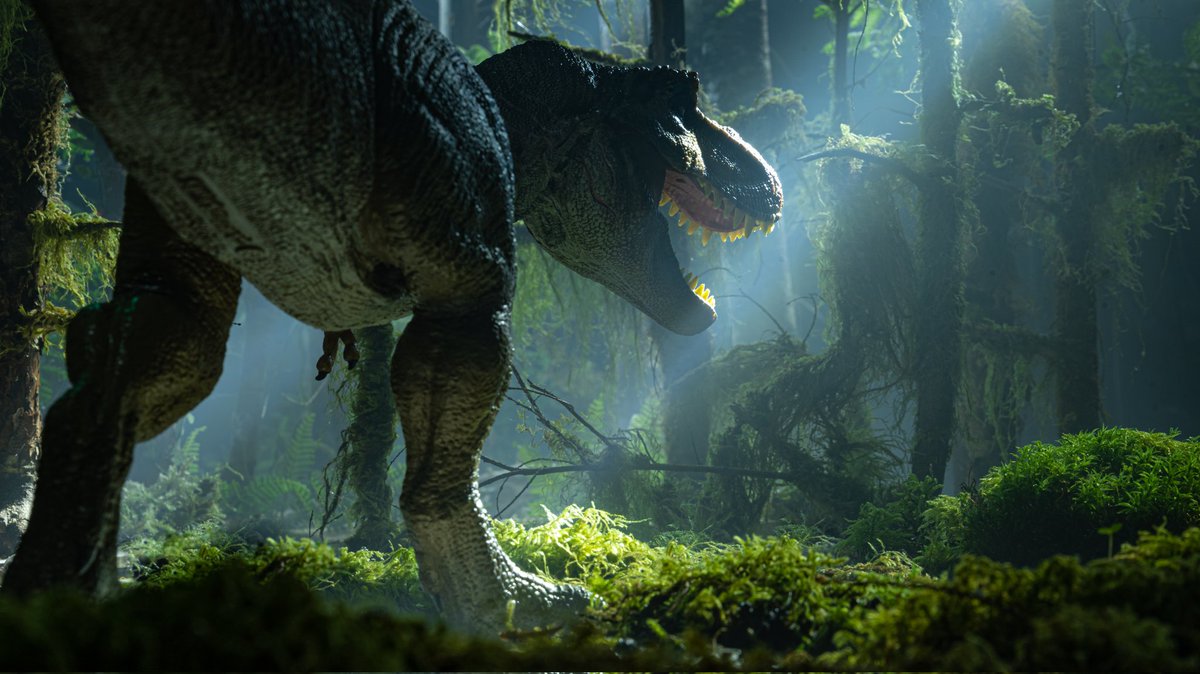 SceneBorn's tweet photo. Last one?
#jurassicpark #trex #t_rex #toyphotography #jurassic_park #dinosaur #dino #dinofan #lumecube #toycollector #toycinematography #diorama #dinorama #rubbersaurs #marcomakes https://t.co/CCXHMQGTs5