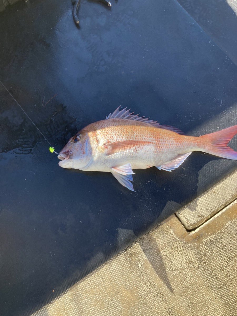 幸福丸 (@8DNu7lP6249kBJM) / Posts / X