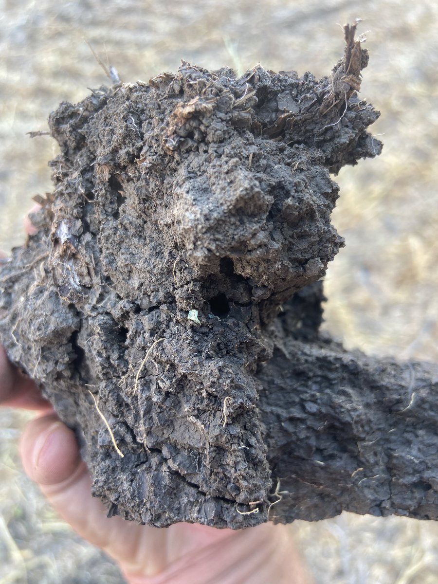 Jay Schultz tweet media