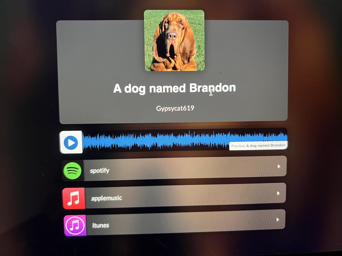 Gypsycat619 (@gypsycat619) on Twitter photo 