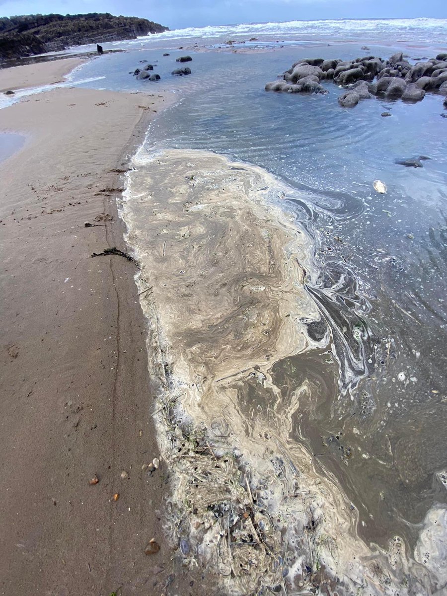 hellsbells05's tweet photo. Porthcawl today 🤮 https://t.co/QifQfARTMZ