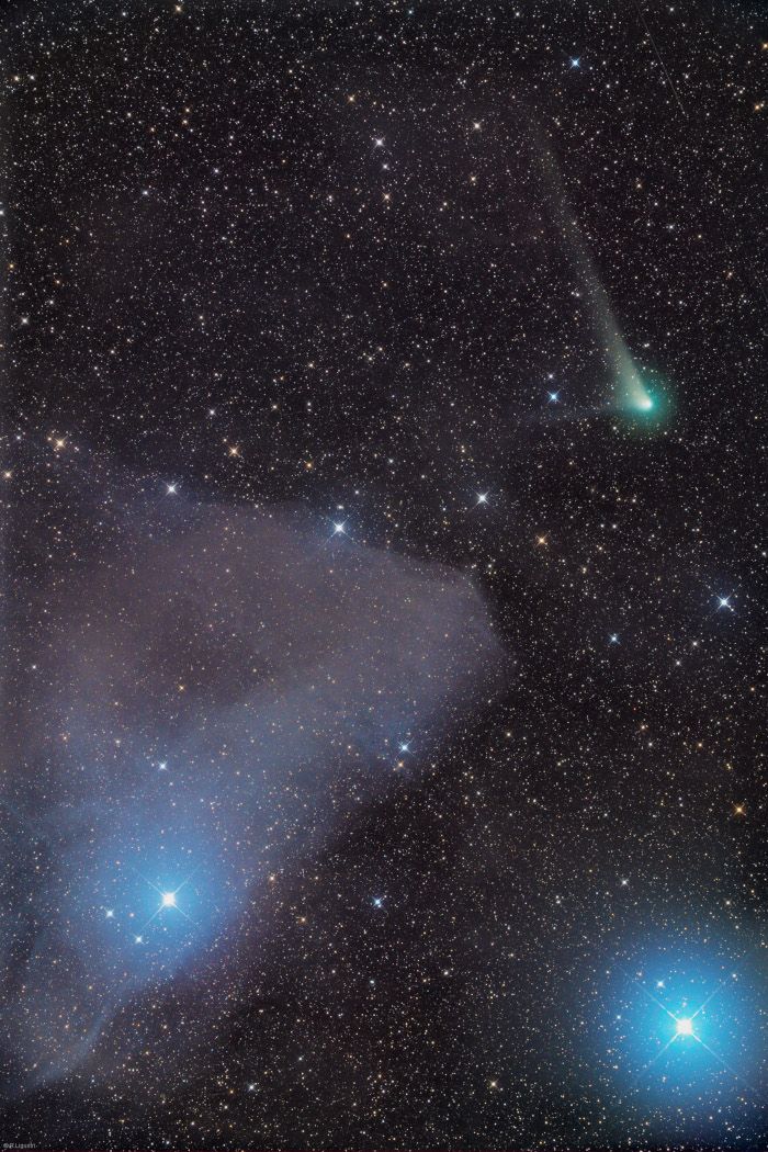 maximaxoo's tweet photo. #Space: comet C/2017 K2 (PanSTARRS) sports a greenish #coma, long whitish #DustTail, and short #IonTail as it passes next to (from Earth's viewpoint) the dusty #nebula IC 4592 (aka "Blue Horsehead Nebula") reflecting blue starlight
https://t.co/MCmkUpna6k via @apod https://t.co/pnik72ifK1