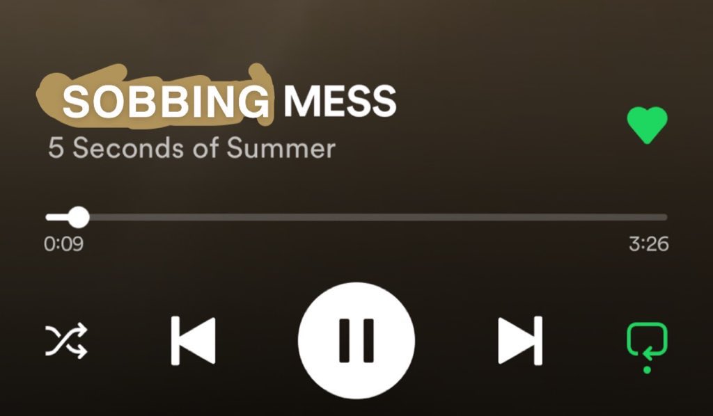 the entire 5sosfam on sept 23: