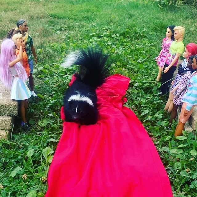 GoInsaneSuperHe's tweet photo. #62 Create a red carpet event for local small wildlife. Show us the guests of honor as they arrive and strut for the paparazzi. 
@GISH @GISHBOT @charliecapen #GISH #gish2022 #redcarpet https://t.co/0mPwzyIOqo