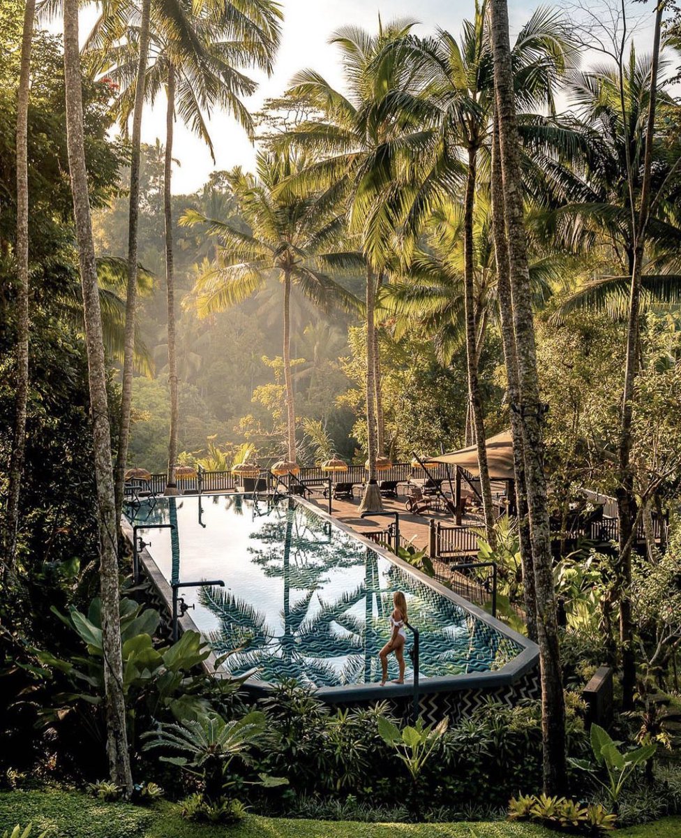 VElicinia's tweet photo. Should I host a #Web3 party in Bali? https://t.co/TSoknZiMdA
