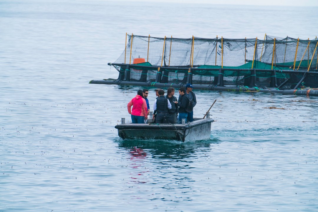 Set sail with #PacificoBass. ⛵

Our fish are stocked with plenty of room to swim and grow in floating sea cages at our ocean grow-out site on Todos Santos Island where they swim in the clean, clear, cold waters of the Pacific until they reach market size.