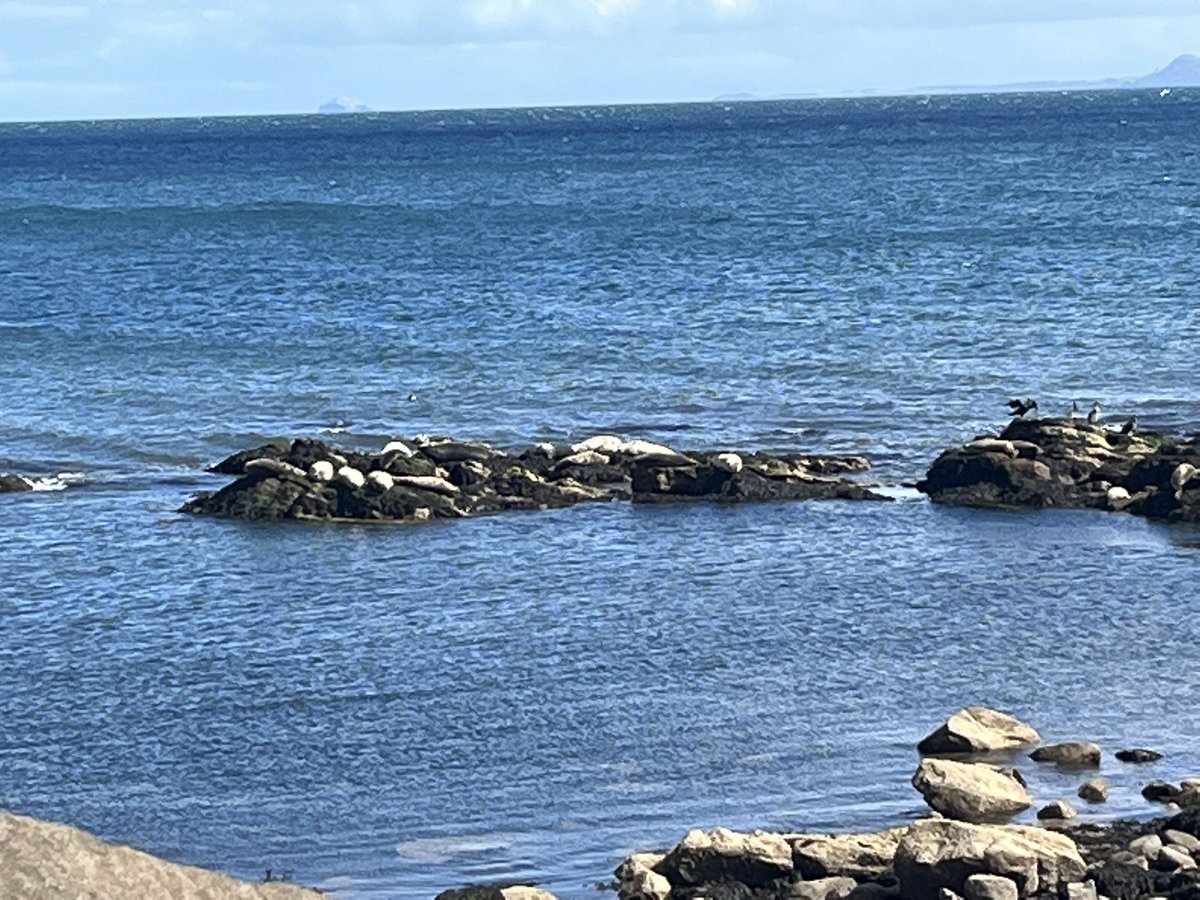 #CoveringtheCoast for <a href="/OvarianCancerUK/">Ovarian Cancer Action</a> 56miles done. Finished just past <a href="/LevenmouthAc/">Levenmouth Academy</a> <a href="/RonnieRoss67/">Ronnie Ross</a> 🤩🤩🤩 Please #RT and give generously justgiving.com/fundraising/G-…