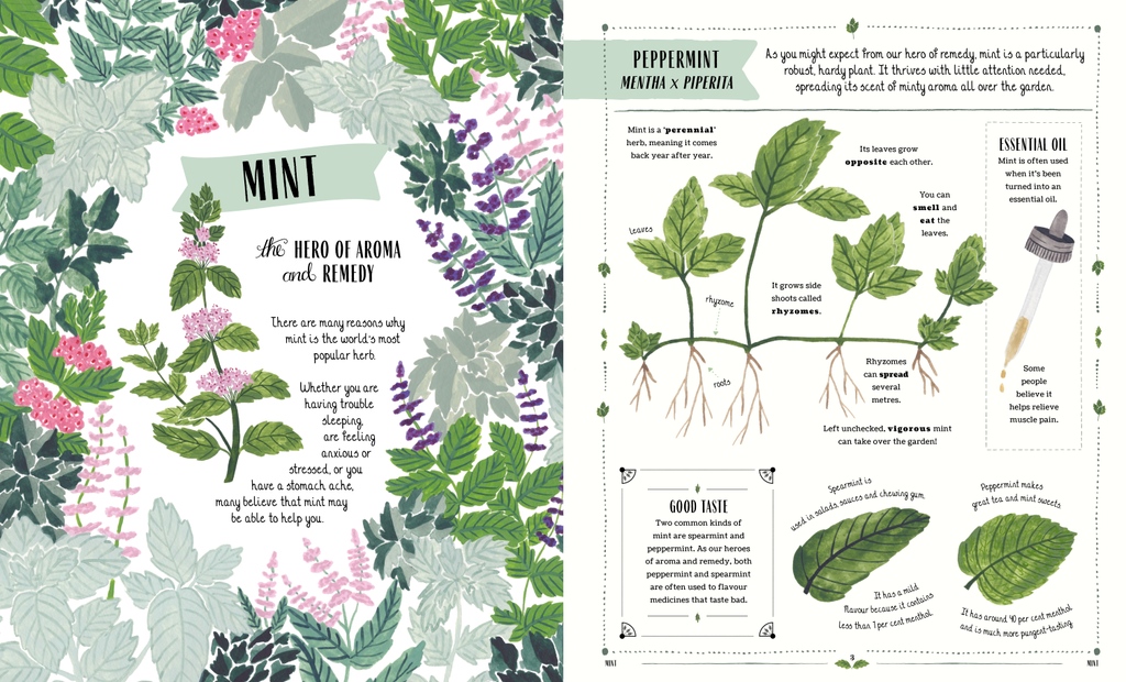 junomagazine's tweet photo. "A truly inspiring introduction to growing plants."
Read the full review of 'Grow' by Riz Reyes, illustrated by @SaraBoccaccini, #MagicCatPublishing in the new issue of JUNO 🧡
https://t.co/Cg2s3rksSH https://t.co/C6ARd9pdyl