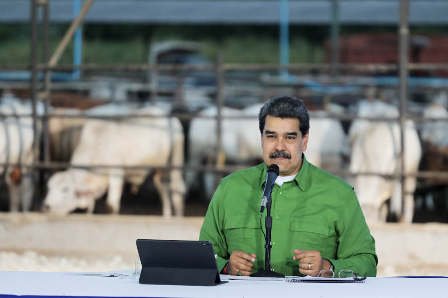 mippci_ven's tweet photo. 📢Pdte. @NicolasMaduro: La tierra para quien la trabaja, quien la produce, y además (…) con proyectos, se trata de dar financiamiento, la semilla, la maquinaria, el apoyo. Lea más ⏩ https://t.co/bW1Jic27p1 
#OrganizarUnirSumar https://t.co/SFssqwRhsF