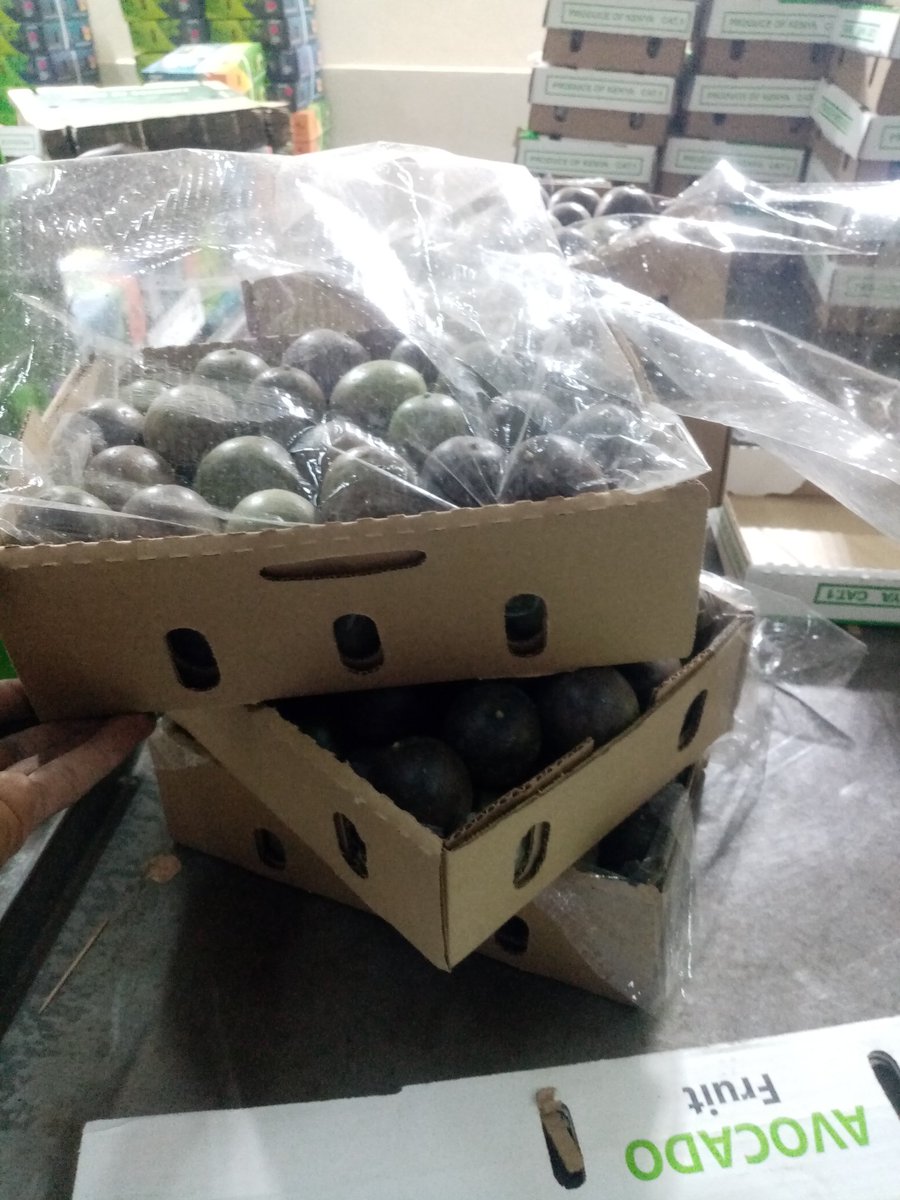 With pure hard work, consistency, discipline, you can achieve anything in farming. Mjengo na bidii yake.
#africanbusiness 🌱💚✊🏿