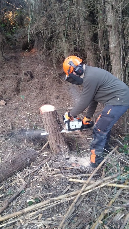 Dicen que el roce hace el cariño. Pero hay que pensar que también puede hacer una rozadura... por eso, para promover el cariño, vamos con un hilo sobre por qué es imprescindible la #GestiónForestalSostenible para prevenir #IncendiosForestales, y de paso, desmentir clichés 👇👇🧵