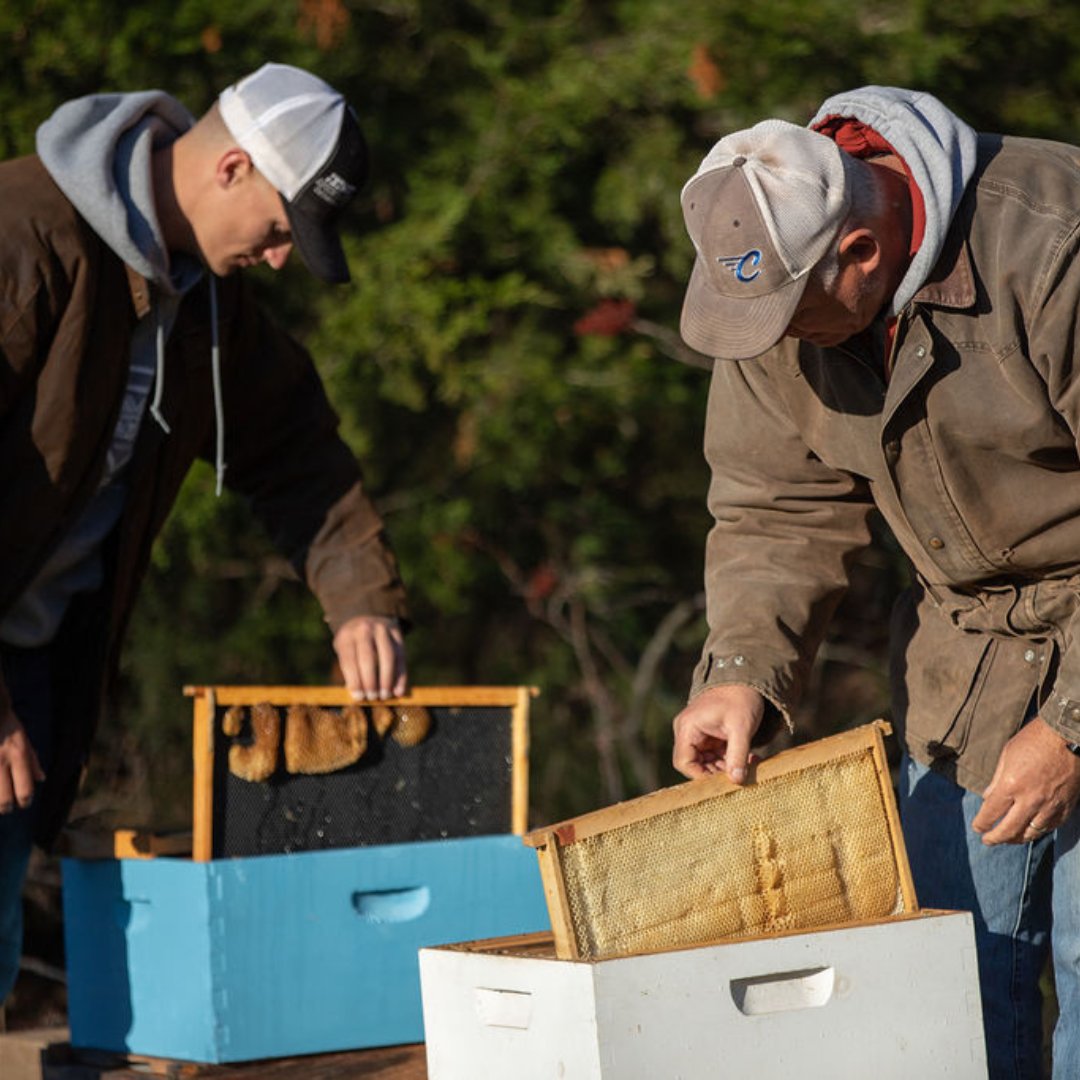 Beekeepers play a vital role in keeping our crops and Earth healthy – and their locally made honey is the best around! 🐝 #NationalHoneyBeeAwarenessDay