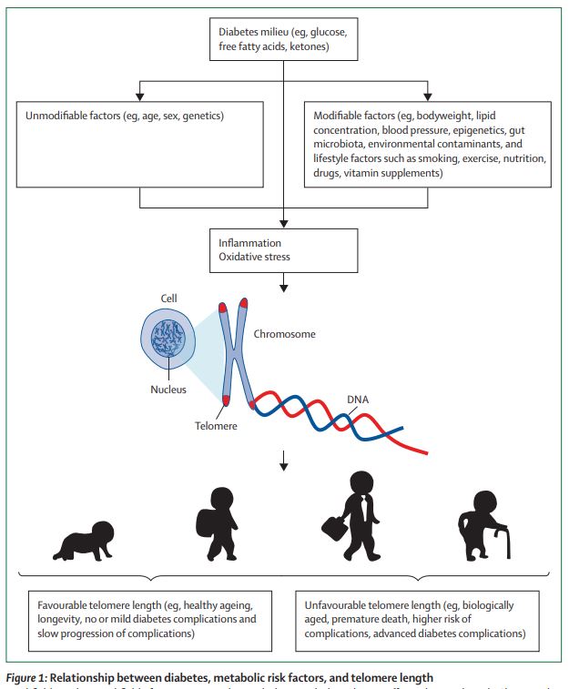 The Lancet Diabetes & Endocrinology on Twitter "Diabetes, metabolic