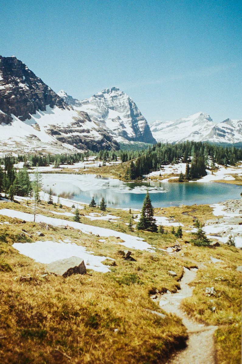 Backcountry fun on film. #kodakgold #kodak #film #PhotoOfTheDay