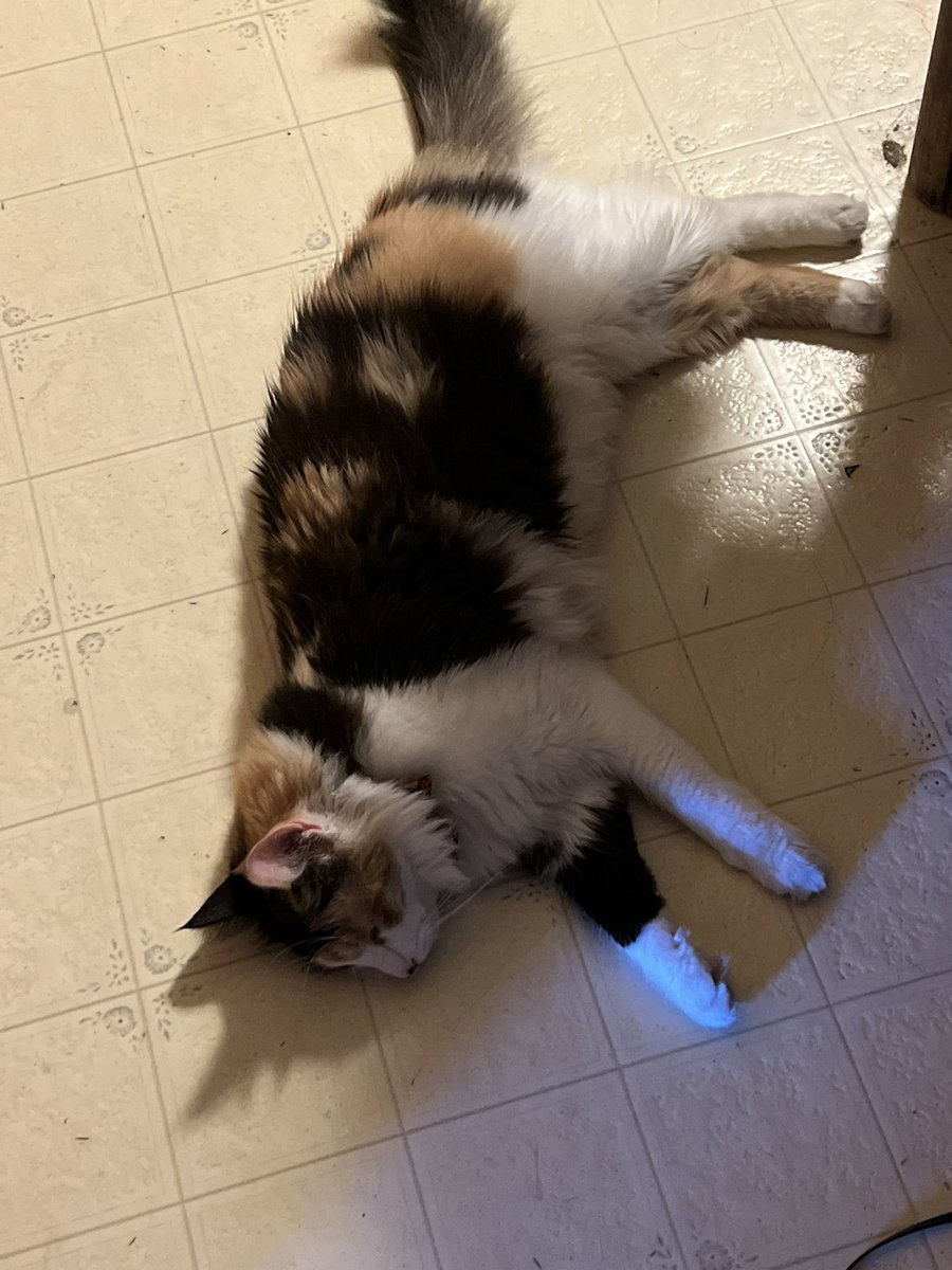 Tea_Rex_Time's tweet image. I told her she couldn’t go outside