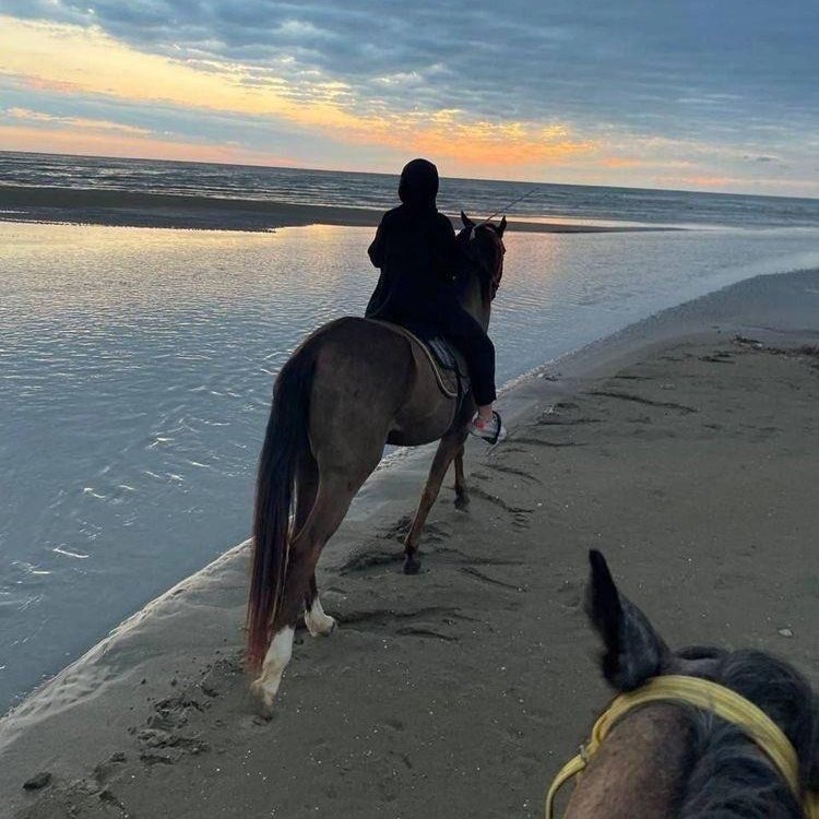 #صورة_ملف_شخصي_جديدة