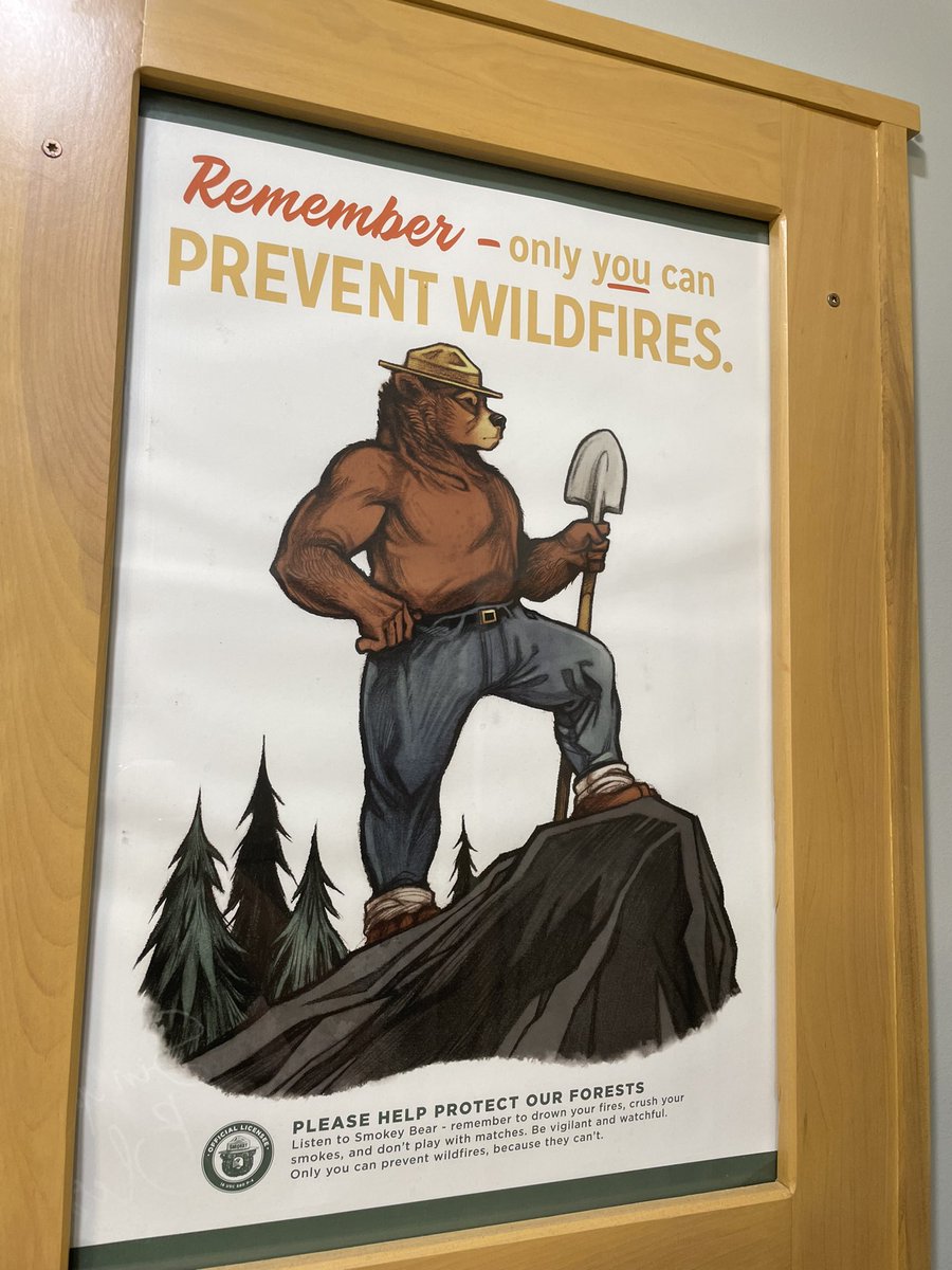 wytoy19's tweet photo. Hey, when did Smokey the Bear start looking like this?!  Or is this @smokey_bear’s grandson?! #pleasehelpkeepourforestssafe #rememberonlyYOUcanpreventwildfires @CusterNF https://t.co/mm9smloNOe