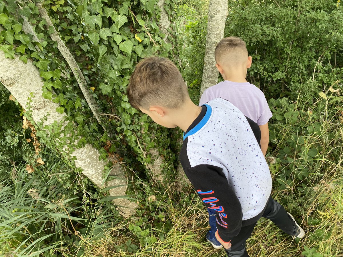 kia_ryan's tweet photo. @GoGeocaching We logged 18 today! 2 tired little boys after a 4 and a half hour walk in the beautiful Leicestershire countryside- great set of caches too! #geocaching #worldrecord https://t.co/8mWfAQJER5
