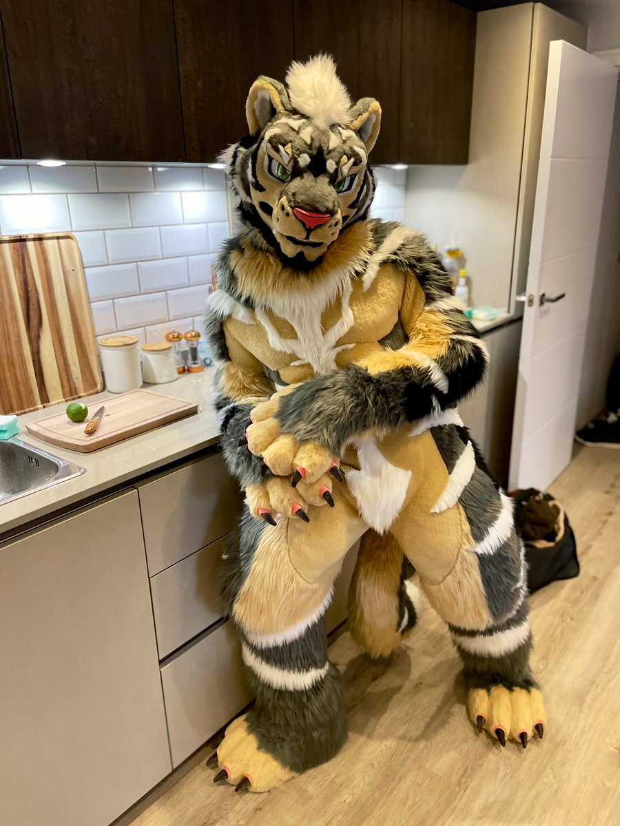 Zephyr🔜 Thaitails🇹🇭 tweet media