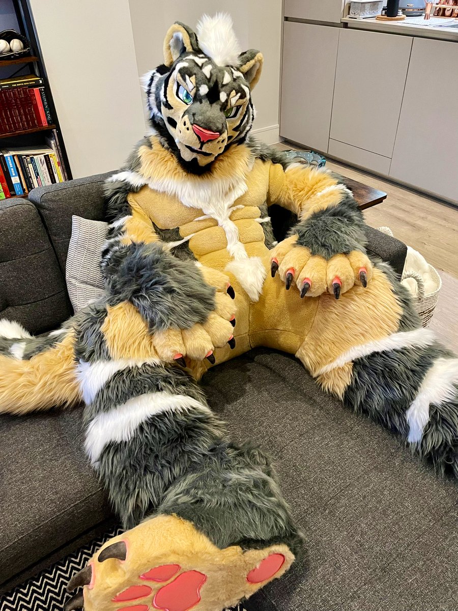 Zephyr🔜 Thaitails🇹🇭 tweet media