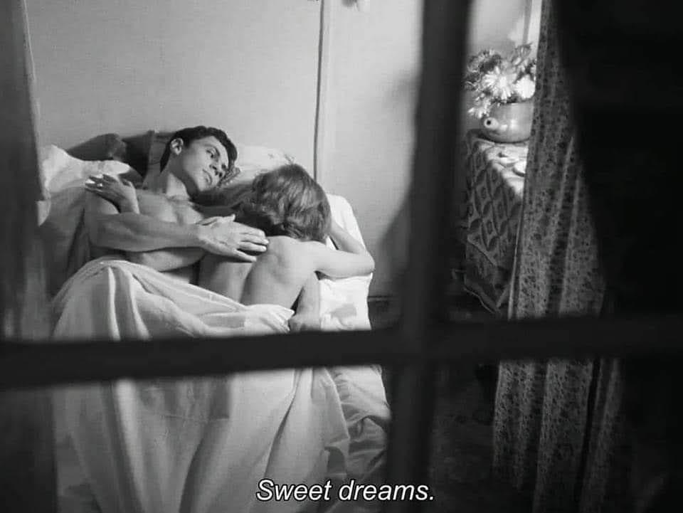 literland (@literlandweb1) on Twitter photo 