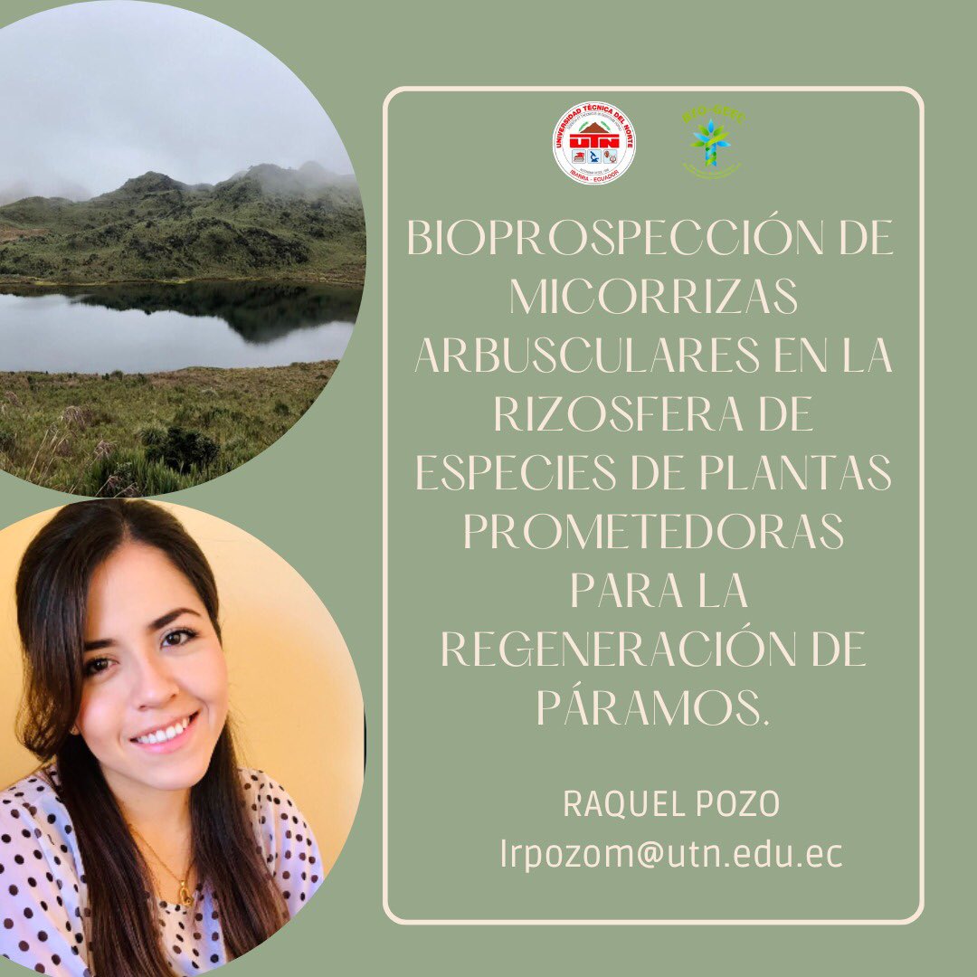 BIO GEEC tweet media