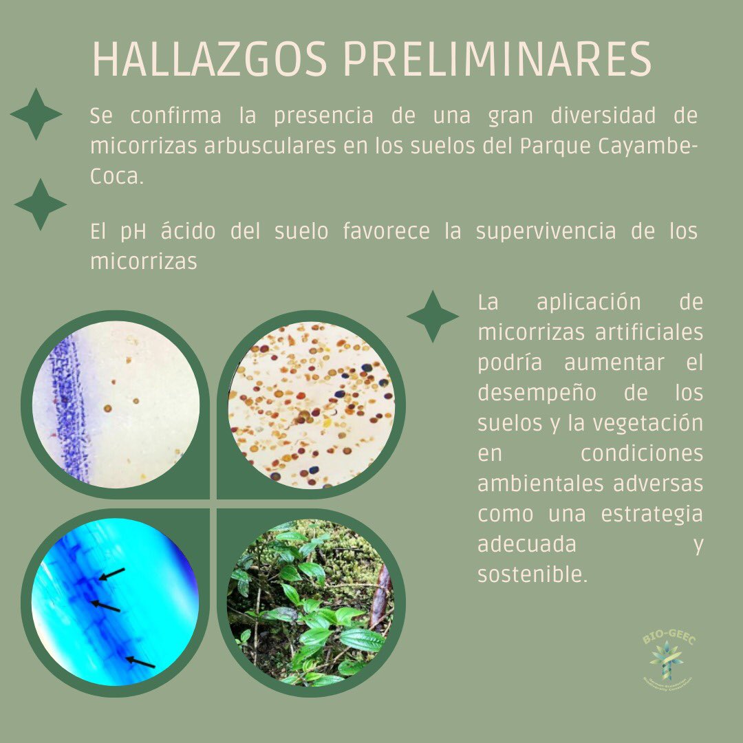 Seguimos avanzando con nuestros jóvenes investigadores en <a href="/UTN_Ibarra/">UTN Ibarra - Ecuador</a> …👇🏽👏🏼
#biodiversity #Ecuador #paramoinab