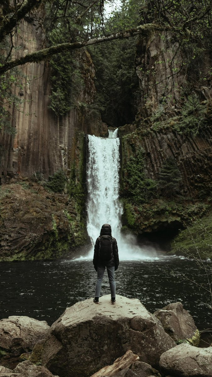 Brie Cooper tweet media