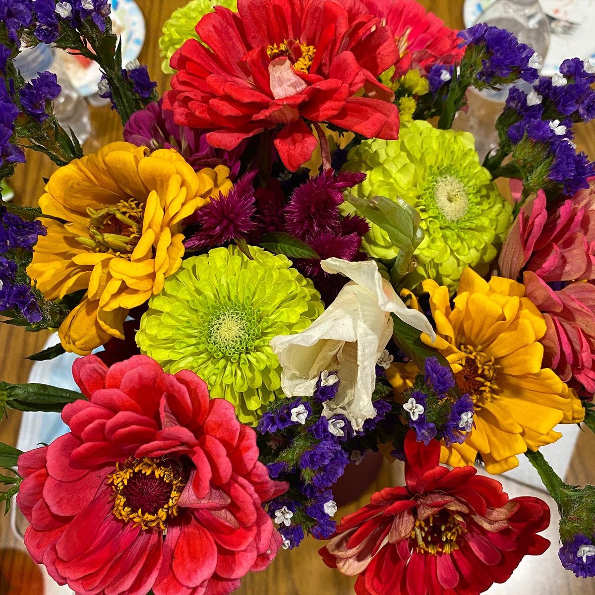 aprilandcats's tweet photo. After 62 years of marriage (and 5 kids), my Dad still lets my Mom have the big piece of cake and brings her flowers. #happyanniversary #mompickedagoodone #forbetterorworse #marriedforever #ENDALZ ❤️ https://t.co/j0oOPsUokN