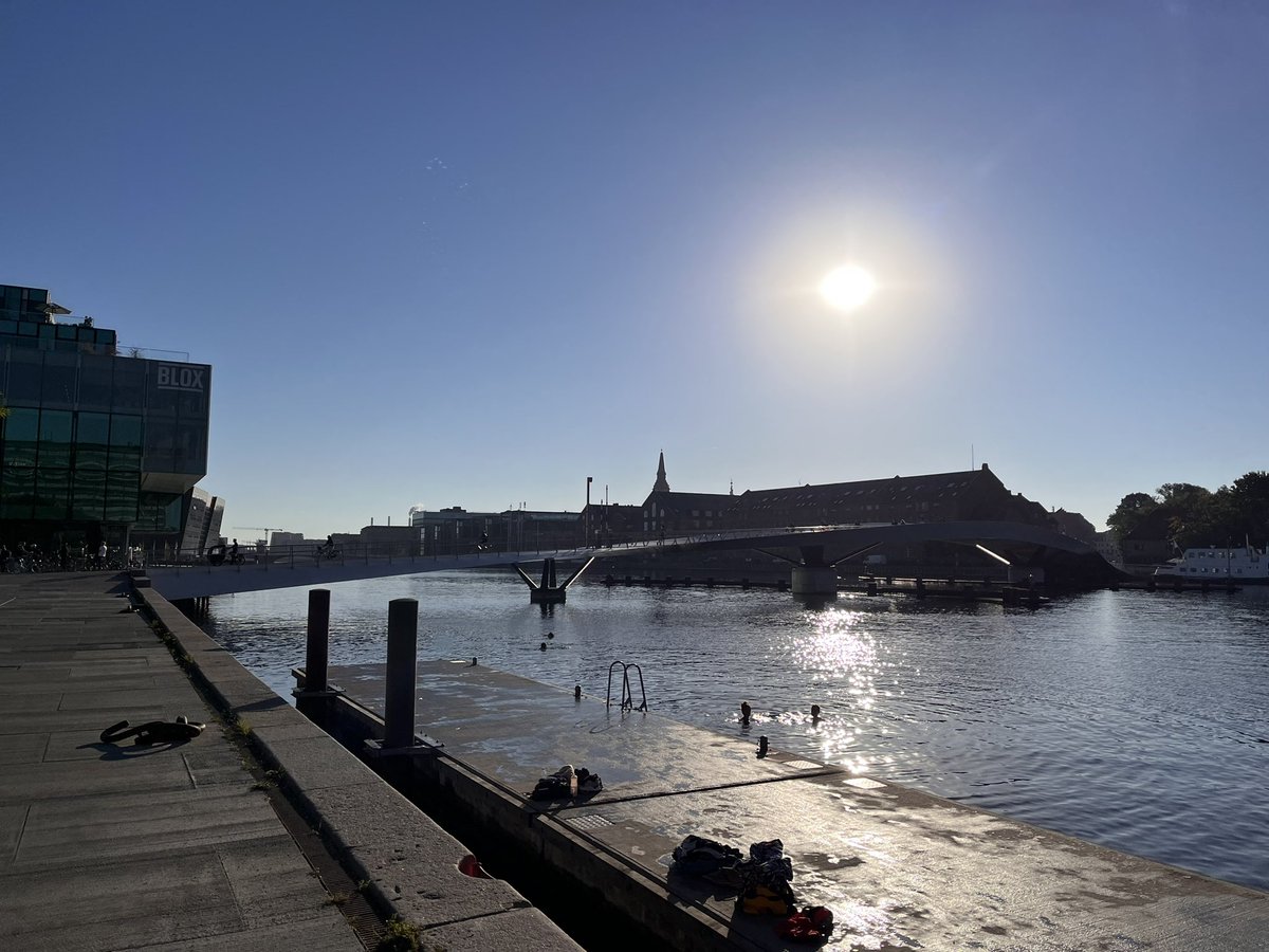 Swimscaper tweet media