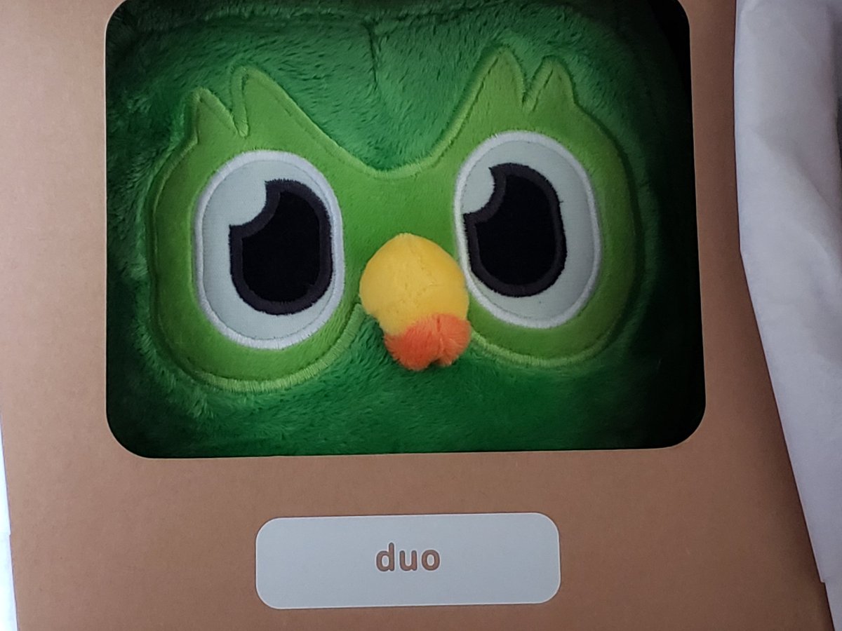 WalkerHijinks's tweet photo. Look who arrived during my @duolingo lesson! Be sure to brush before cuddles 💚 Duo's a shedder 🤣 Found the perfect perch. 面白いから日本語を勉強します https://t.co/ps89hTzJ4P