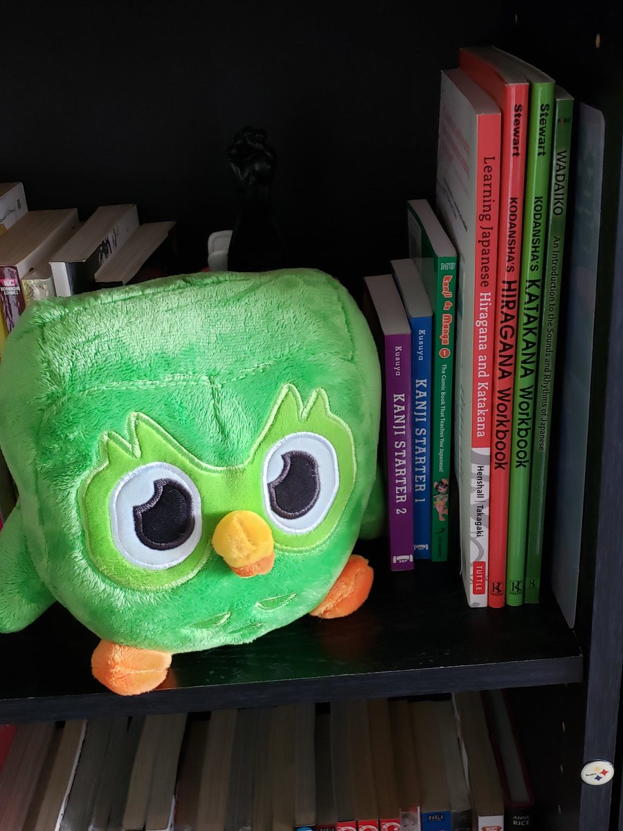 WalkerHijinks's tweet photo. Look who arrived during my @duolingo lesson! Be sure to brush before cuddles 💚 Duo's a shedder 🤣 Found the perfect perch. 面白いから日本語を勉強します https://t.co/ps89hTzJ4P