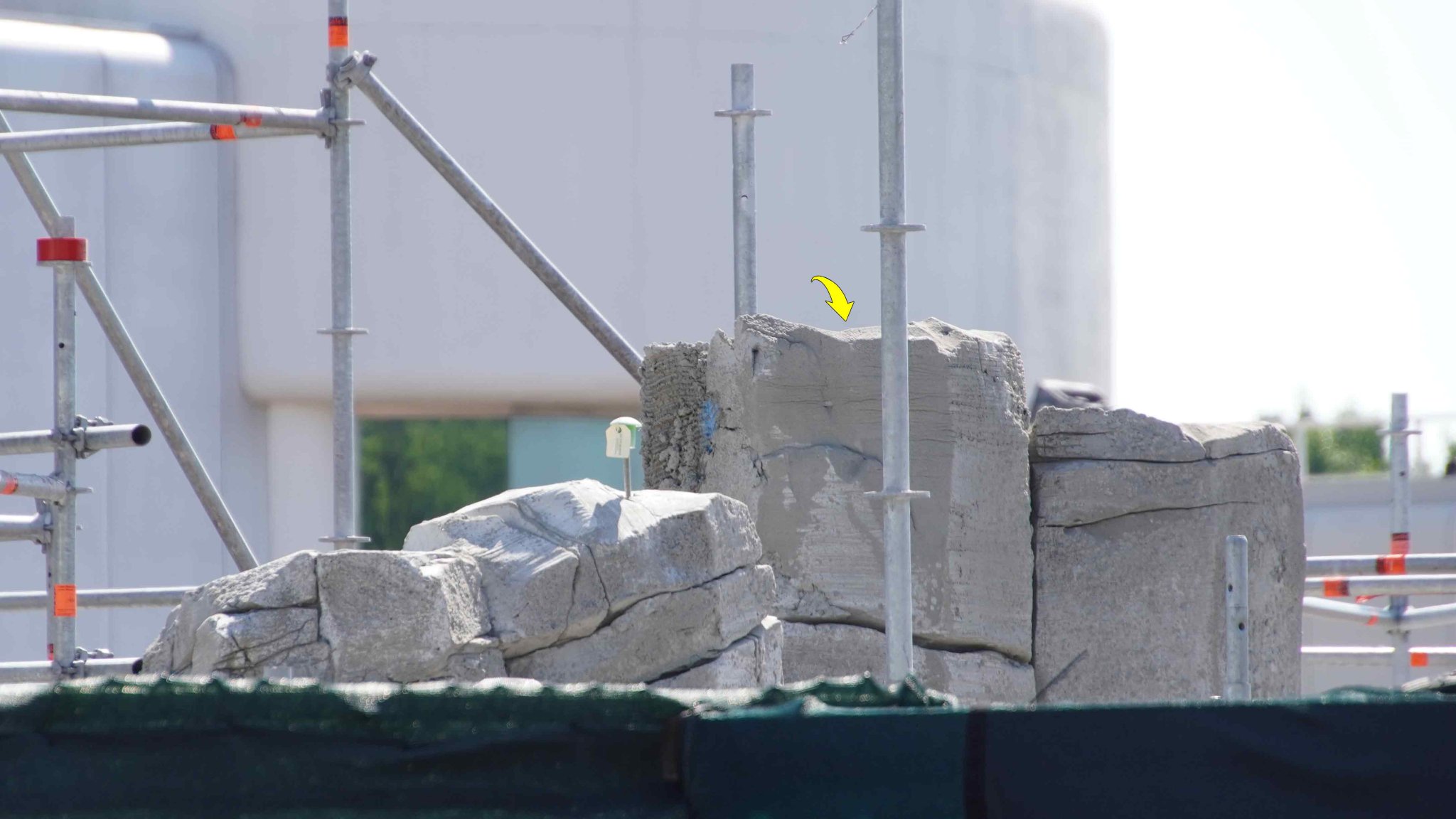 bioreconstruct on Twitter: 