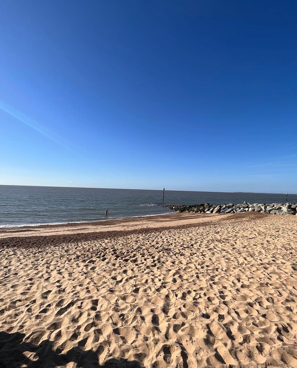 Swimscaper tweet media