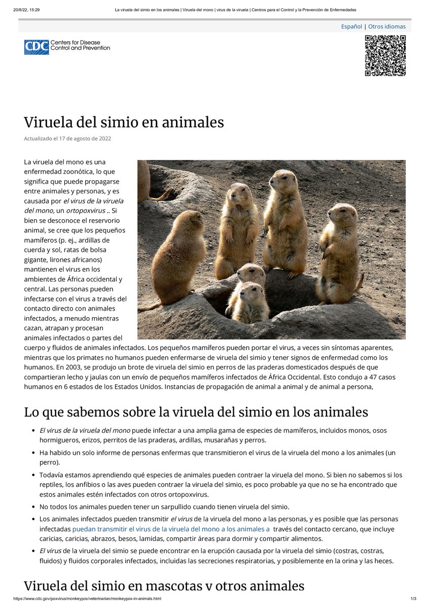 593ProSeg's tweet photo. VIRUELA DEL MONO: VIRUELA del MONO en ANIMALES. 
.
.
#Covid19 - #coronavirus - #proseg &amp; #Saludsa - #asesordeseguros - #seguromedico - #medicinaprepagada - #seguros - #enfermedad - #HepatitisInfantil - #NOGUERRA - #ViruelaDelMono - #langya - #narcoterrorismo https://t.co/LWoHFe9BQj