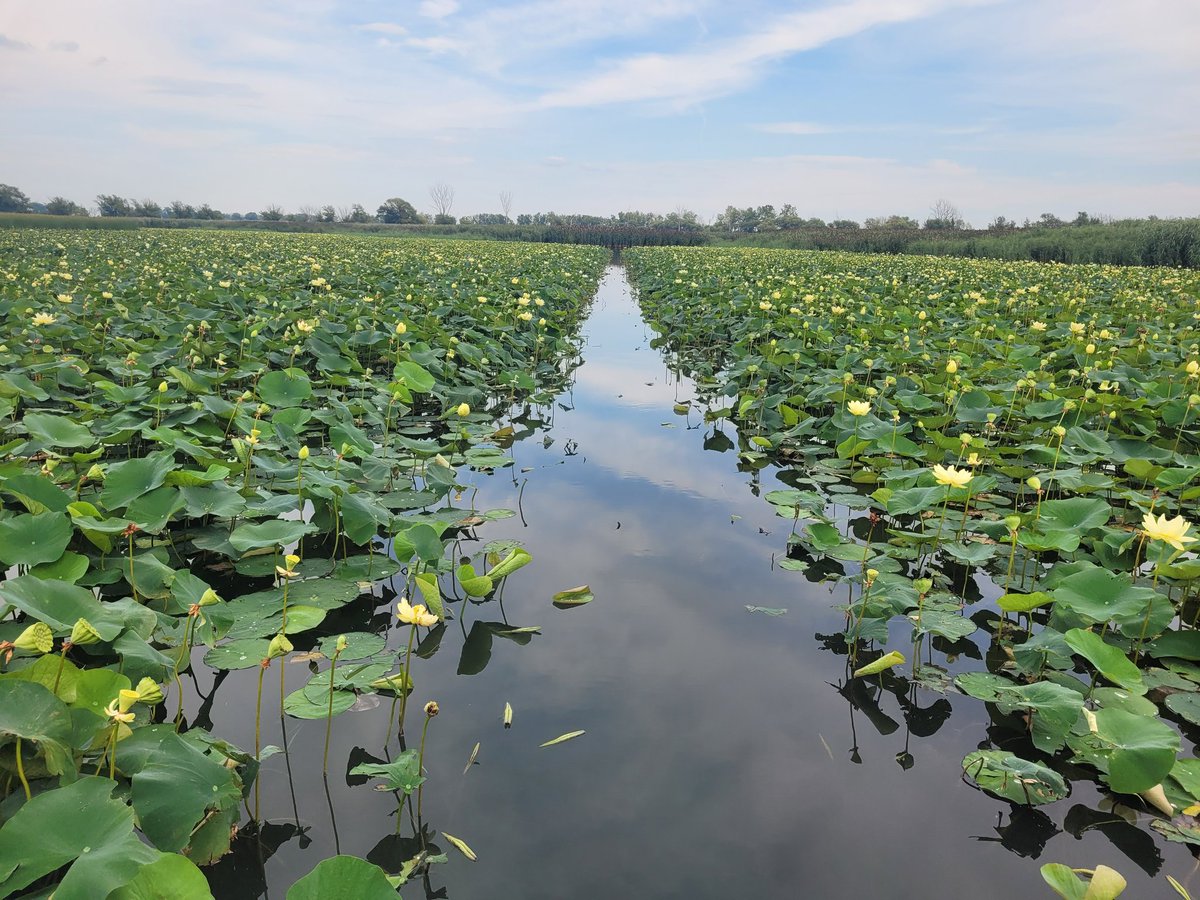 Where do your roads go?