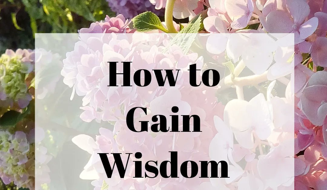 SarahLynneCR's tweet photo. Are you needing wisdom on a certain topic? Guest post: How to gain wisdom. Read it here: https://t.co/DMRpqVRm4W #wisdom #gainingwisdom #askforwisdom #prayforwisdom via @SarahGeringer @w2wministries https://t.co/0XTx4t2xWC