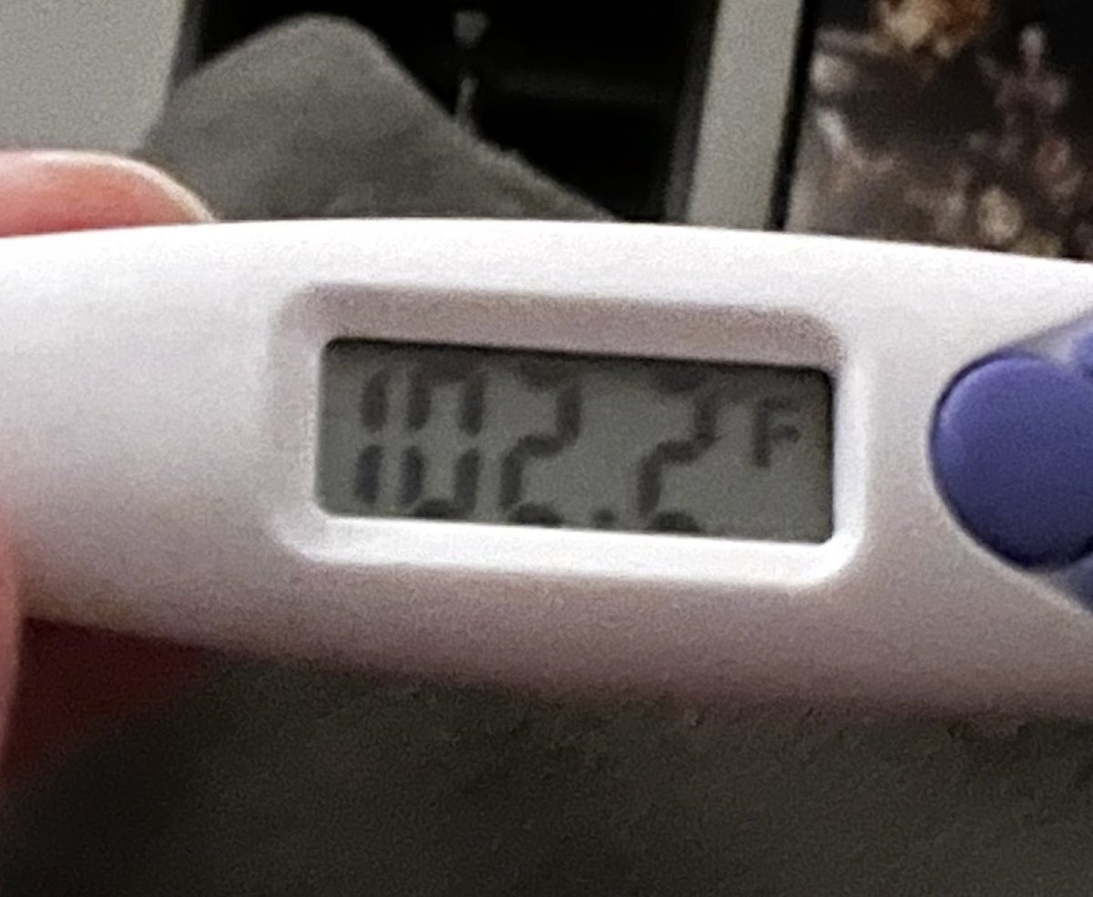 Thermometer Fever 102 thermometer-fever-102